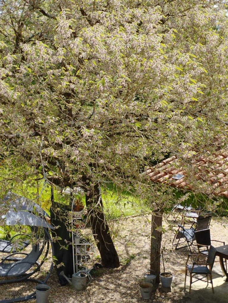 Au Coeur De Menesterol Chambre Emotion Montpon-Menesterol Dış mekan fotoğraf